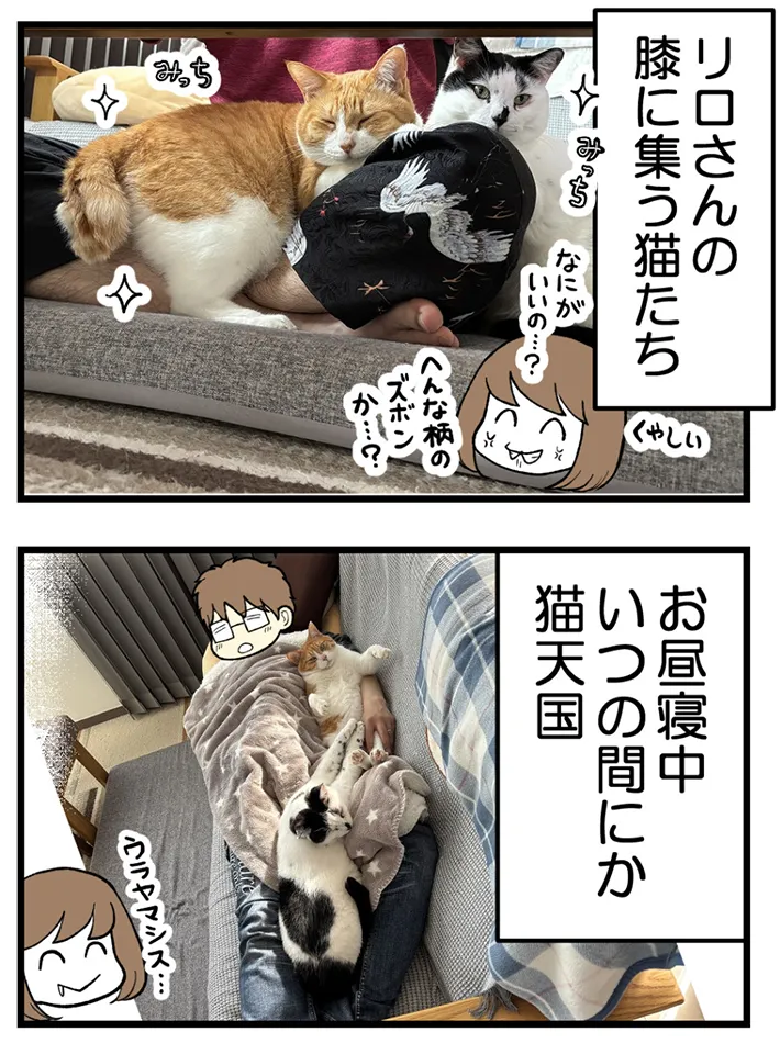 海原こうめさんのエッセイ漫画の画像