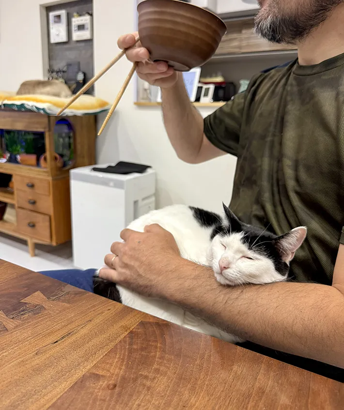夫の膝の上に乗る、猫のおだんごちゃんの画像（提供：@omochi_nam01）さん