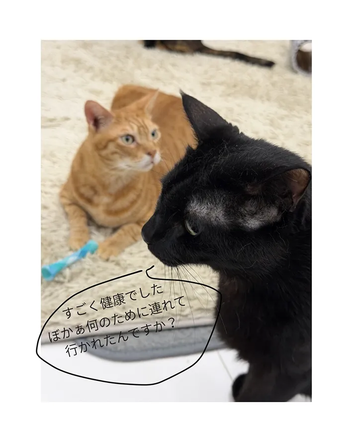 ririca_nekoさんの漫画9