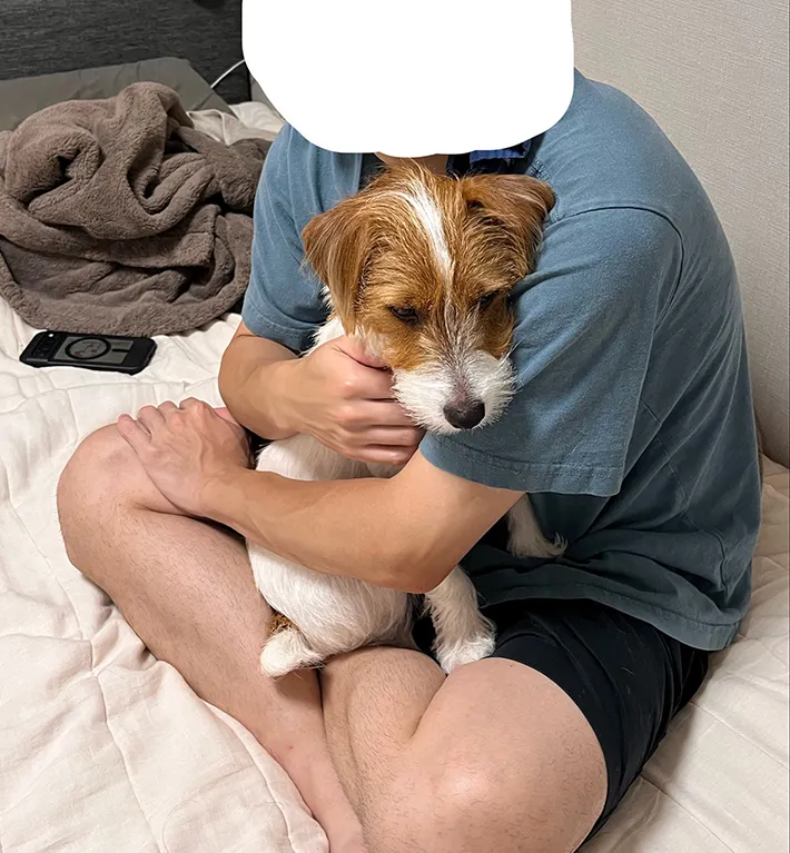 犬の写真（提供：@papaya_paya11）