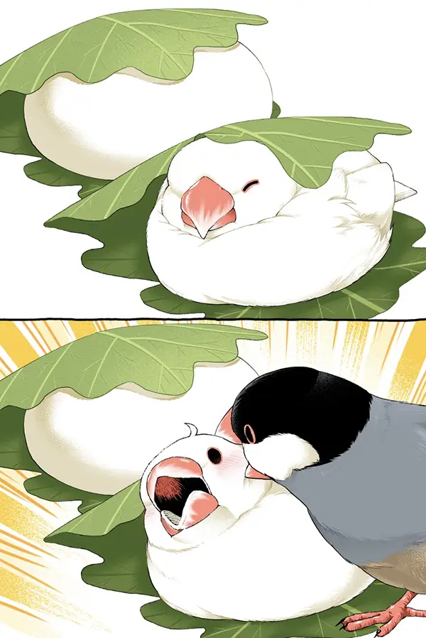 柏餅と勘違いされる白文鳥の漫画