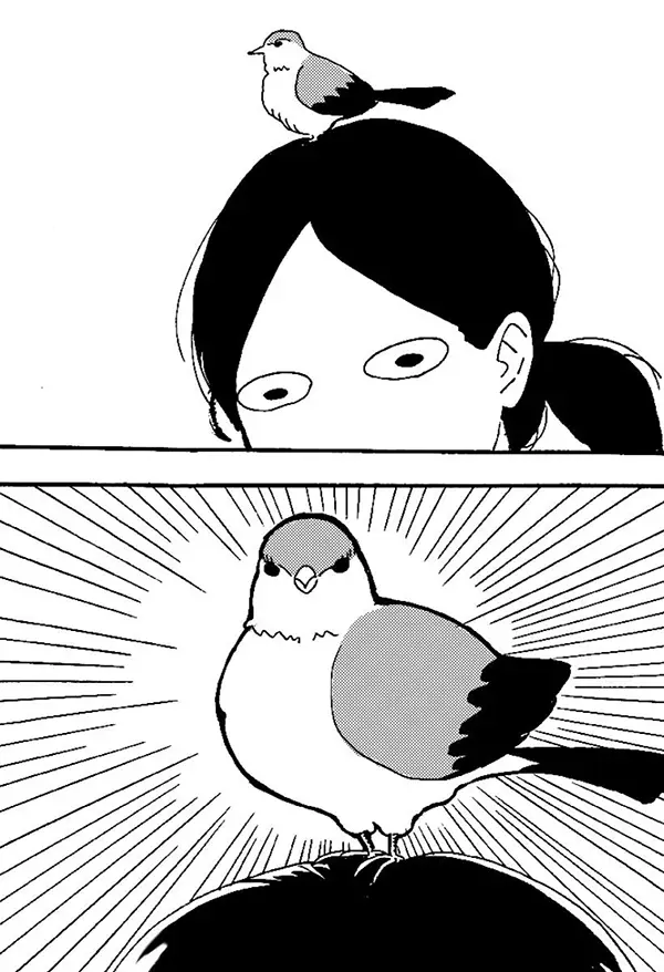 鳥が頭上にとまって驚くエッセイ漫画