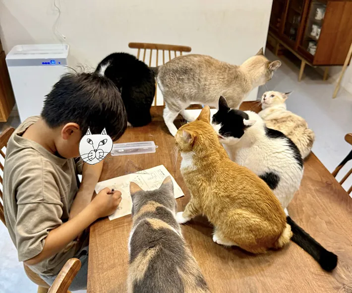 勉強するなみそさんの息子さんと、それを取り囲む猫たちの画像（提供：@omochi_nam01）