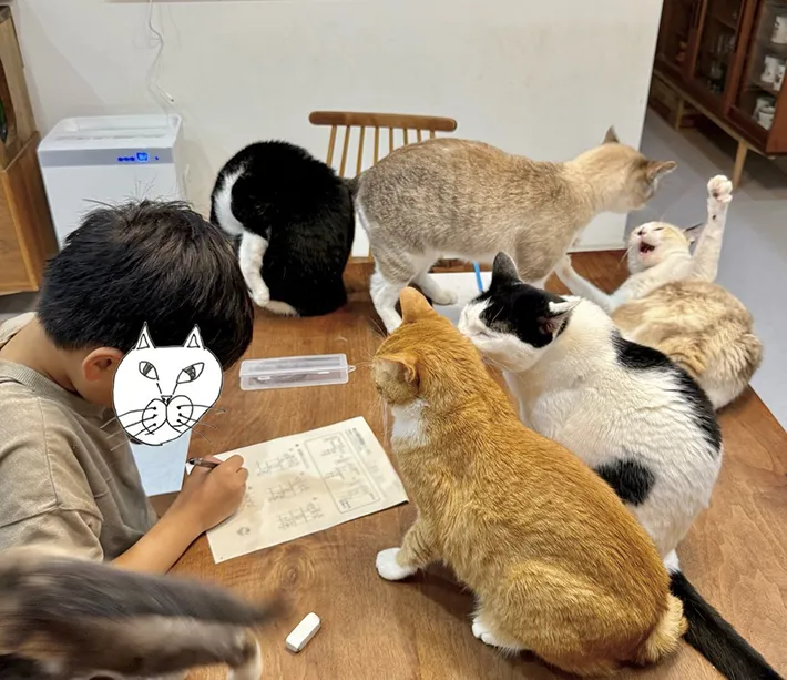 勉強するなみそさんの息子さんと、それを取り囲む猫たちの画像（提供：@omochi_nam01）
