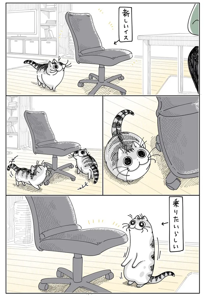 キュルZ（@kyuryuZ）さんの猫漫画画像