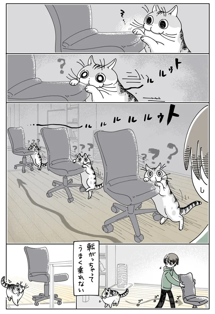 キュルZ（@kyuryuZ）さんの猫漫画画像