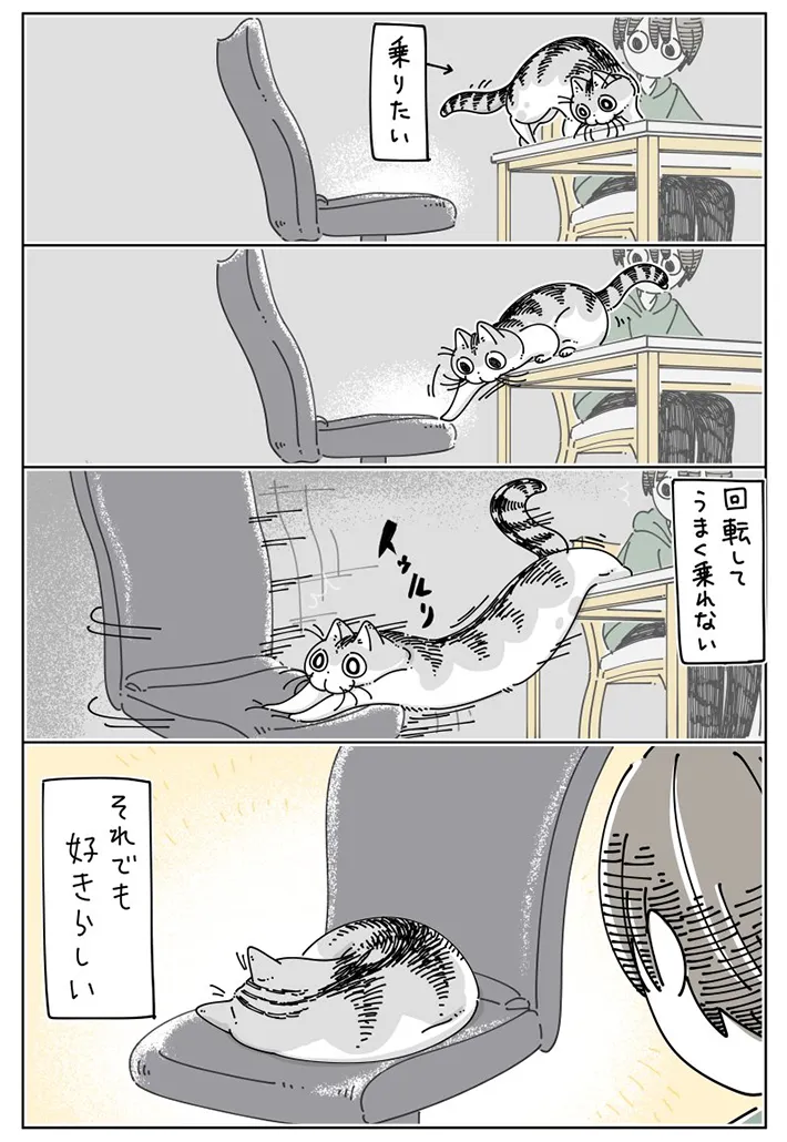 キュルZ（@kyuryuZ）さんの猫漫画画像