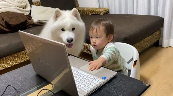 パソコンに手を伸ばす子供