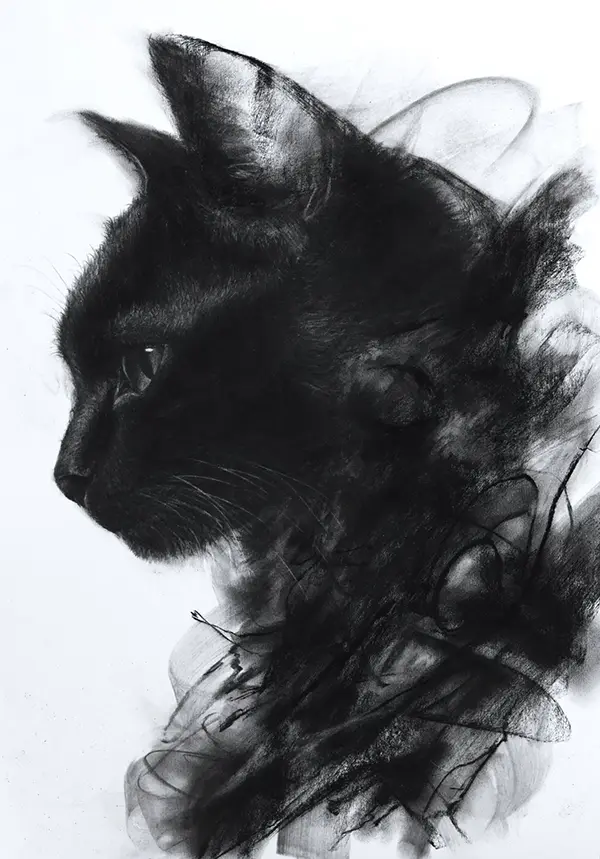黒猫の木炭画の画像