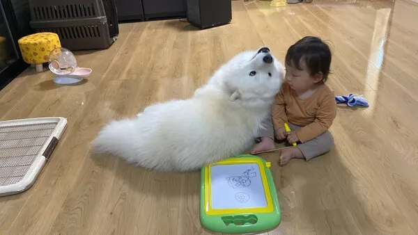 弟に寄りそう犬