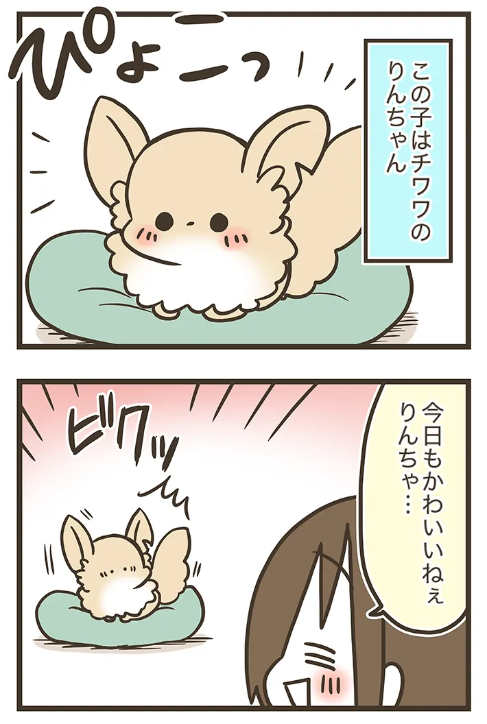 漫画家・なおたろーさんのエッセイ漫画『おかんとわんこ』の画像