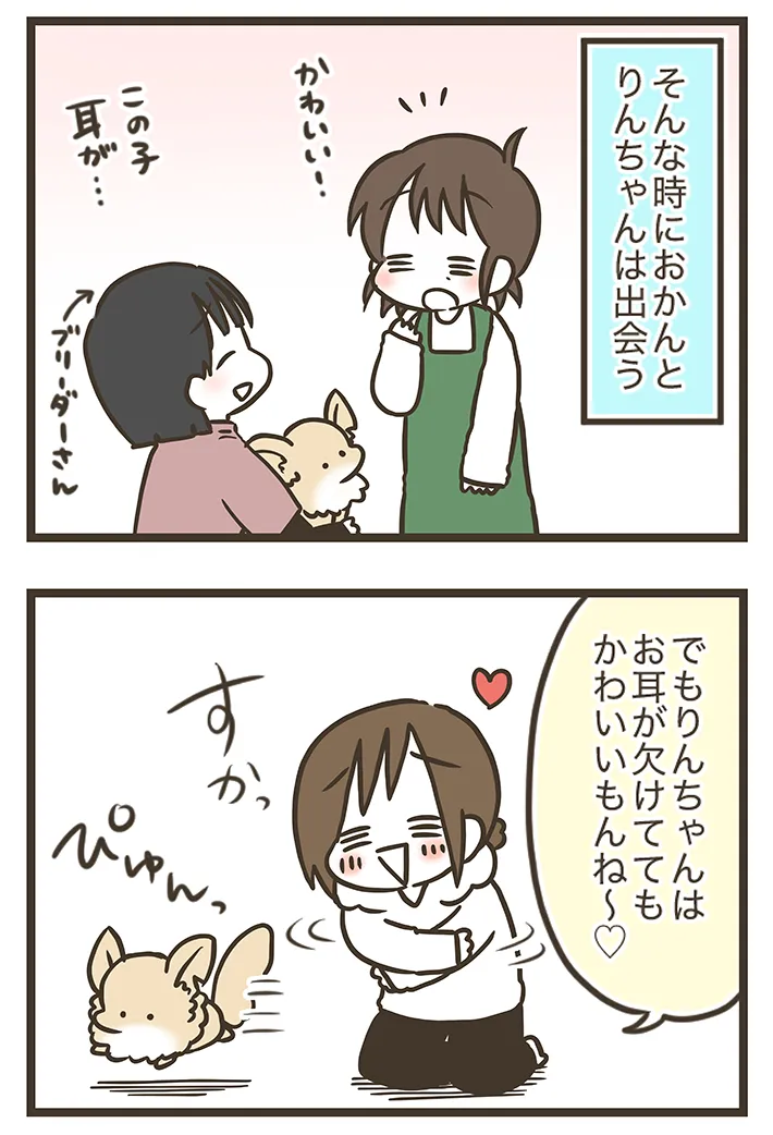 漫画家・なおたろーさんによるエッセイ漫画『おかんとわんこ』の画像