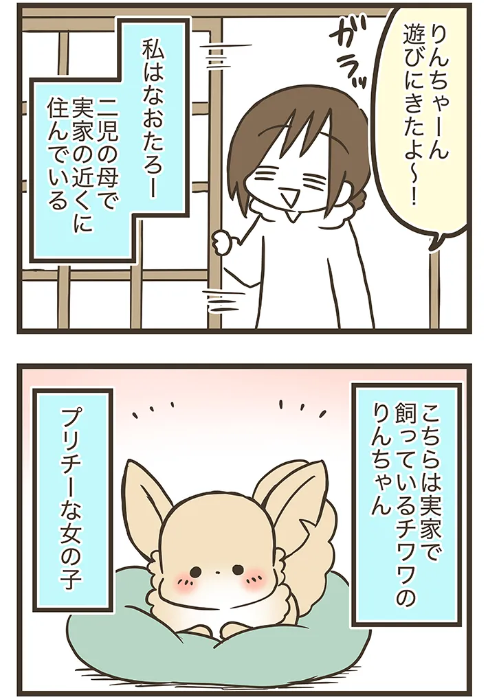 漫画家・なおたろーさんによるエッセイ漫画『おかんとわんこ』第2章その1の画像