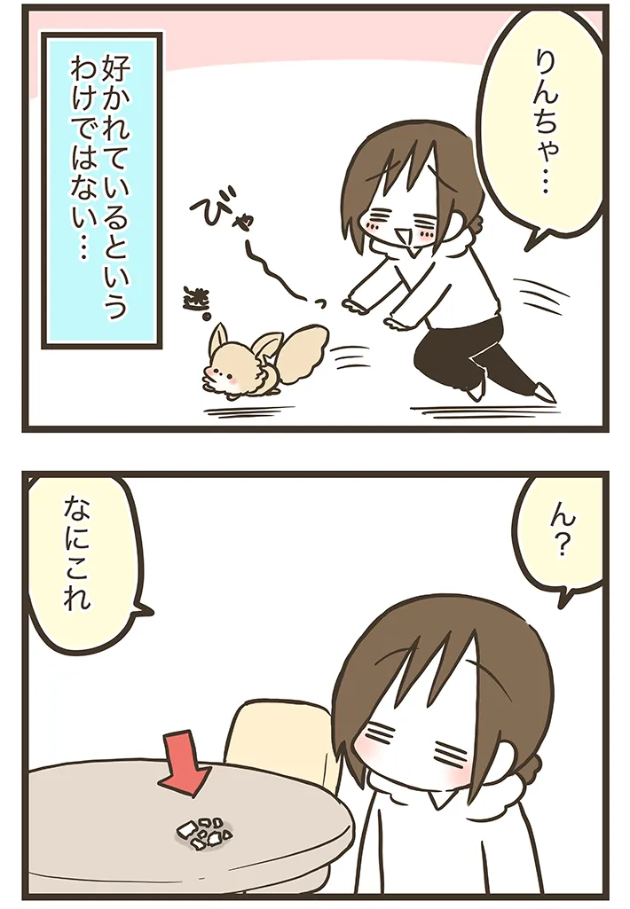 漫画家・なおたろーさんによるエッセイ漫画『おかんとわんこ』第2章その1の画像