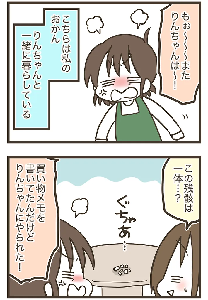 漫画家・なおたろーさんによるエッセイ漫画『おかんとわんこ』第2章その1の画像