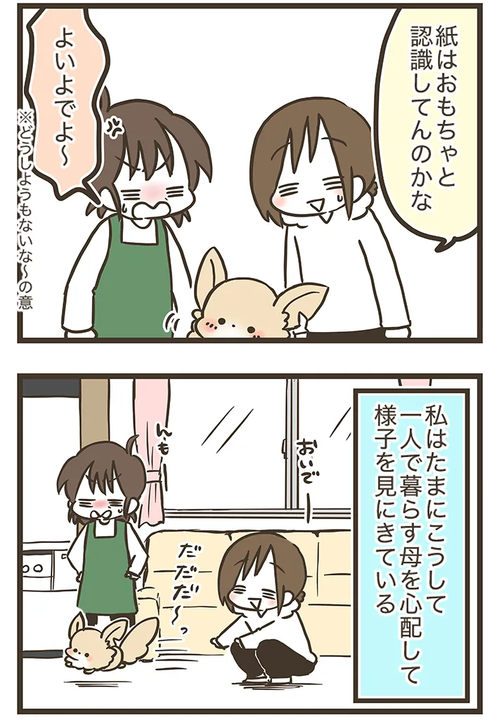 漫画家・なおたろーさんによるエッセイ漫画『おかんとわんこ』第2章その1の画像