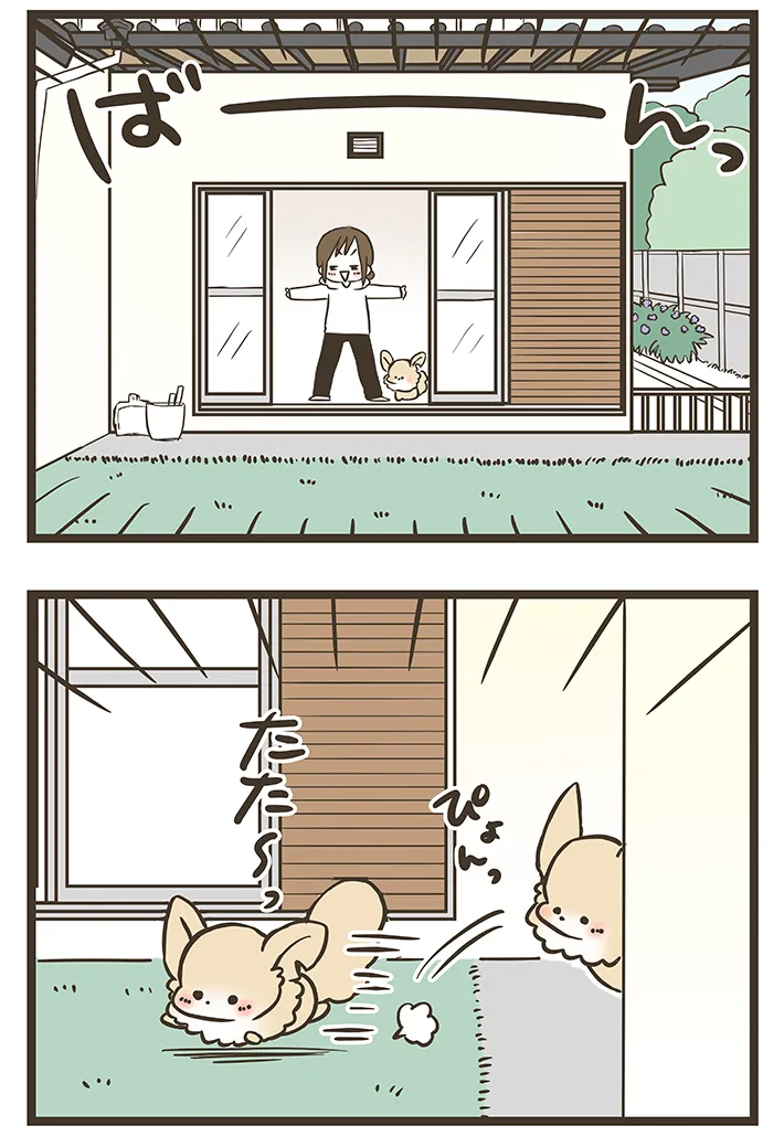 なおたろーさんによるエッセイ漫画『おかんとわんこ』第2章その2の画像
