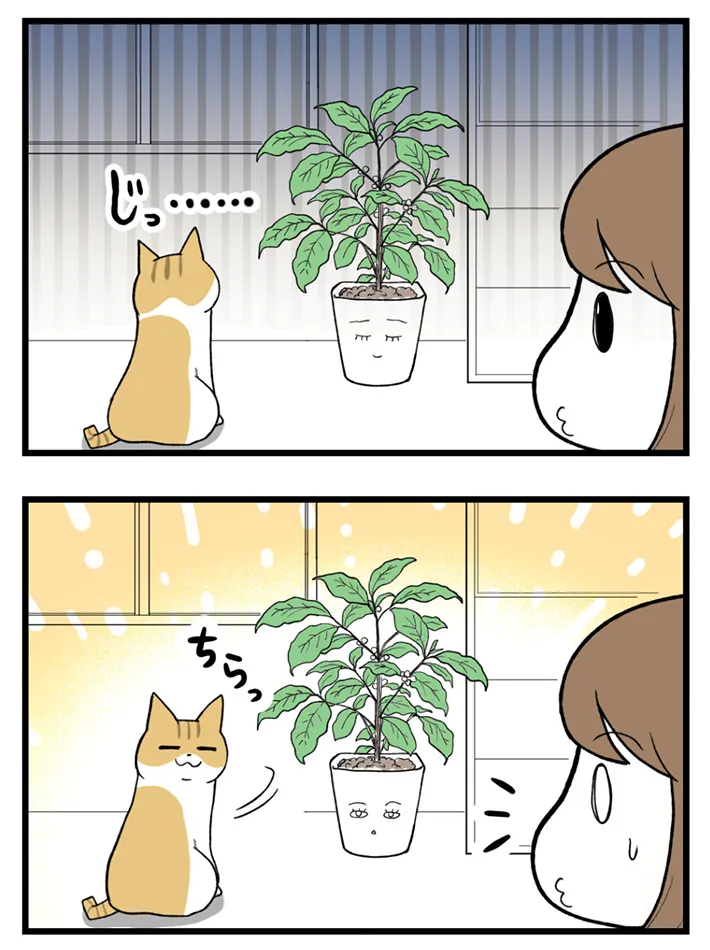 海原こうめさんのエッセイ漫画の画像