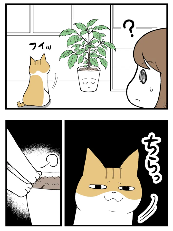 海原こうめさんのエッセイ漫画の画像