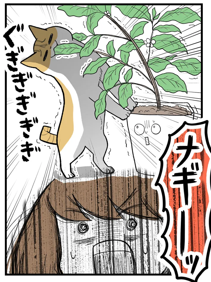 海原こうめさんのエッセイ漫画の画像