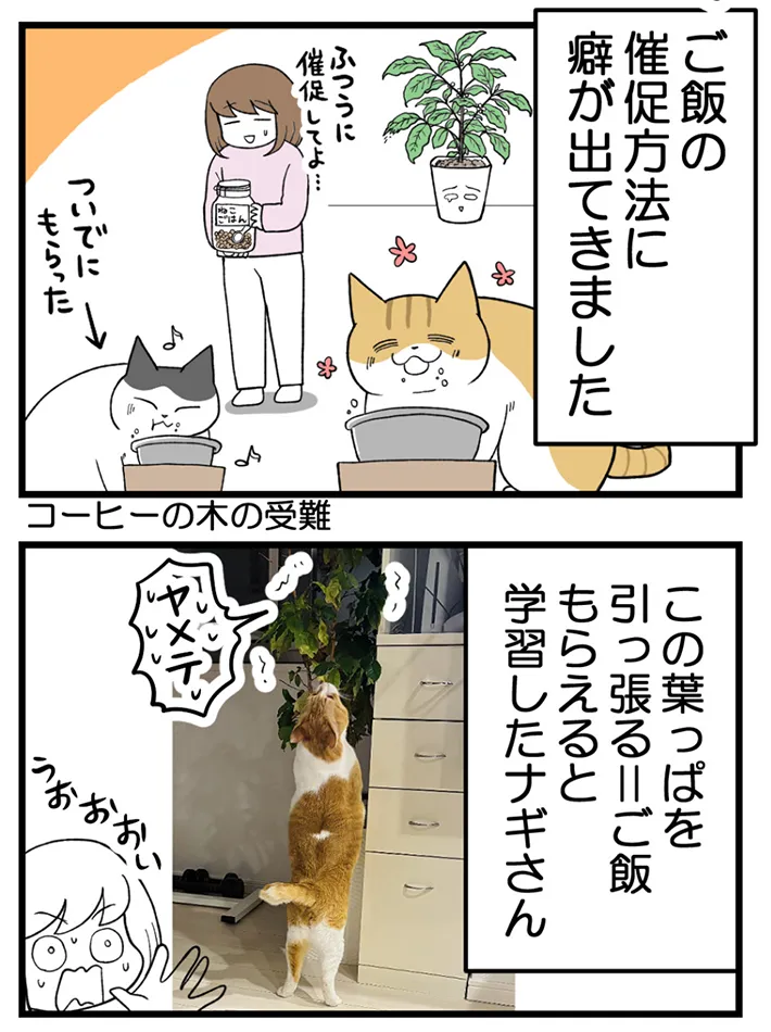 海原こうめさんのエッセイ漫画の画像