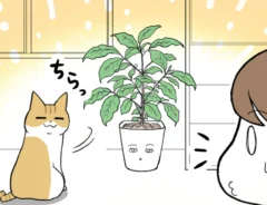 海原こうめさんのエッセイ漫画の画像