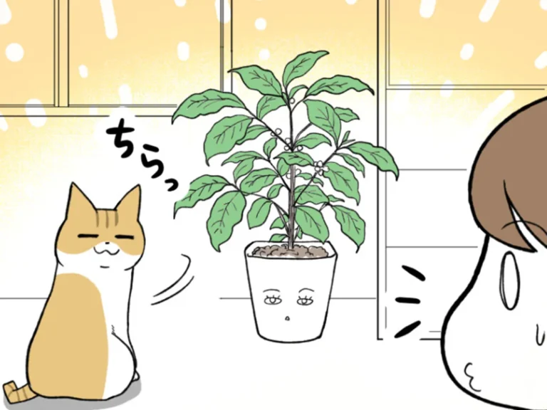 海原こうめさんのエッセイ漫画の画像