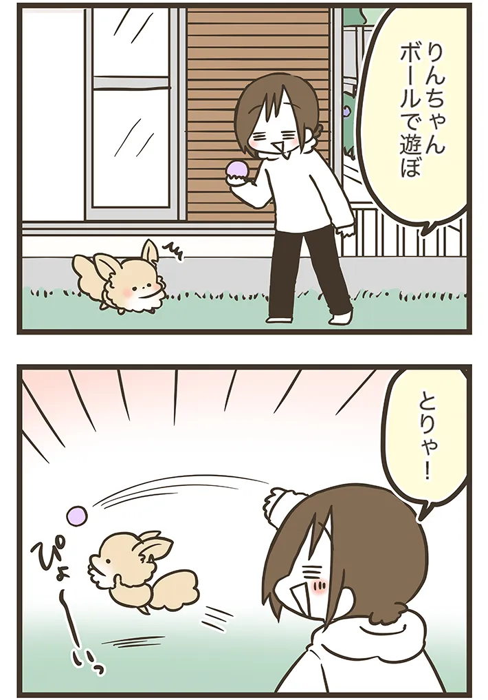 漫画家・なおたろーさんによるエッセイ漫画『おかんとわんこ』の画像