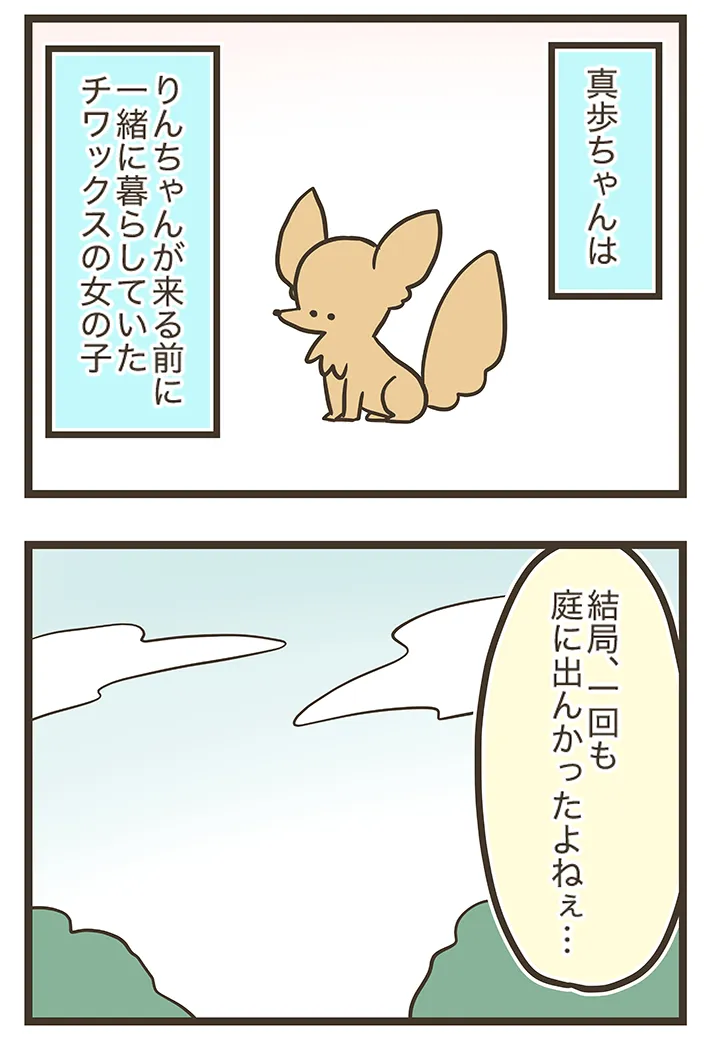 漫画家・なおたろーさんによるエッセイ漫画『おかんとわんこ』の画像
