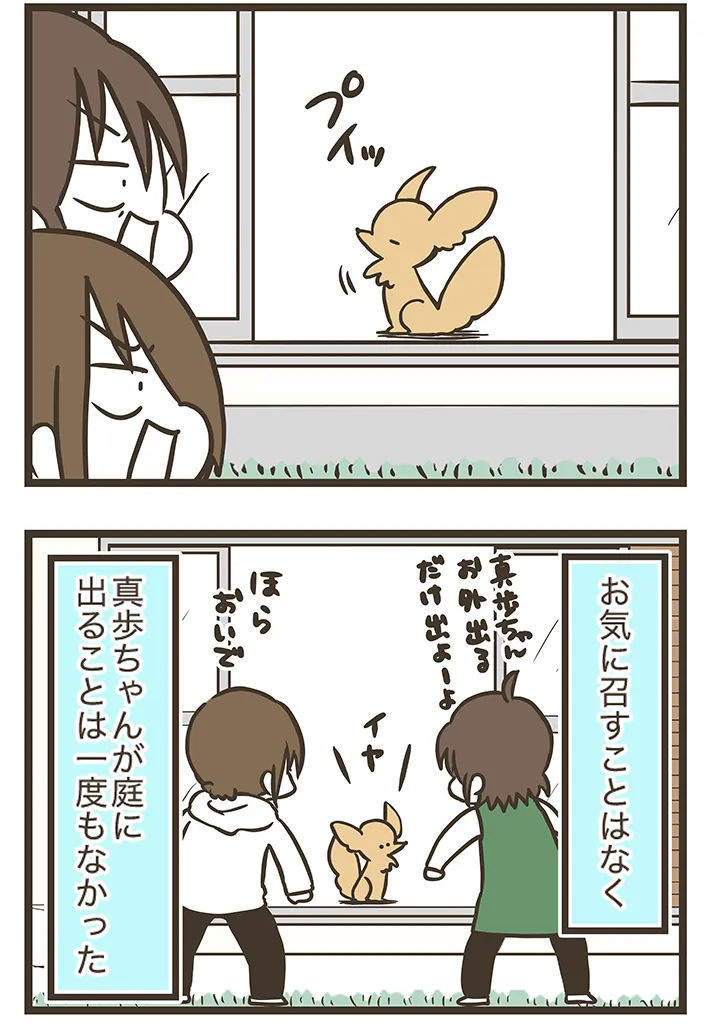 漫画家・なおたろーさんによるエッセイ漫画『おかんとわんこ』の画像
