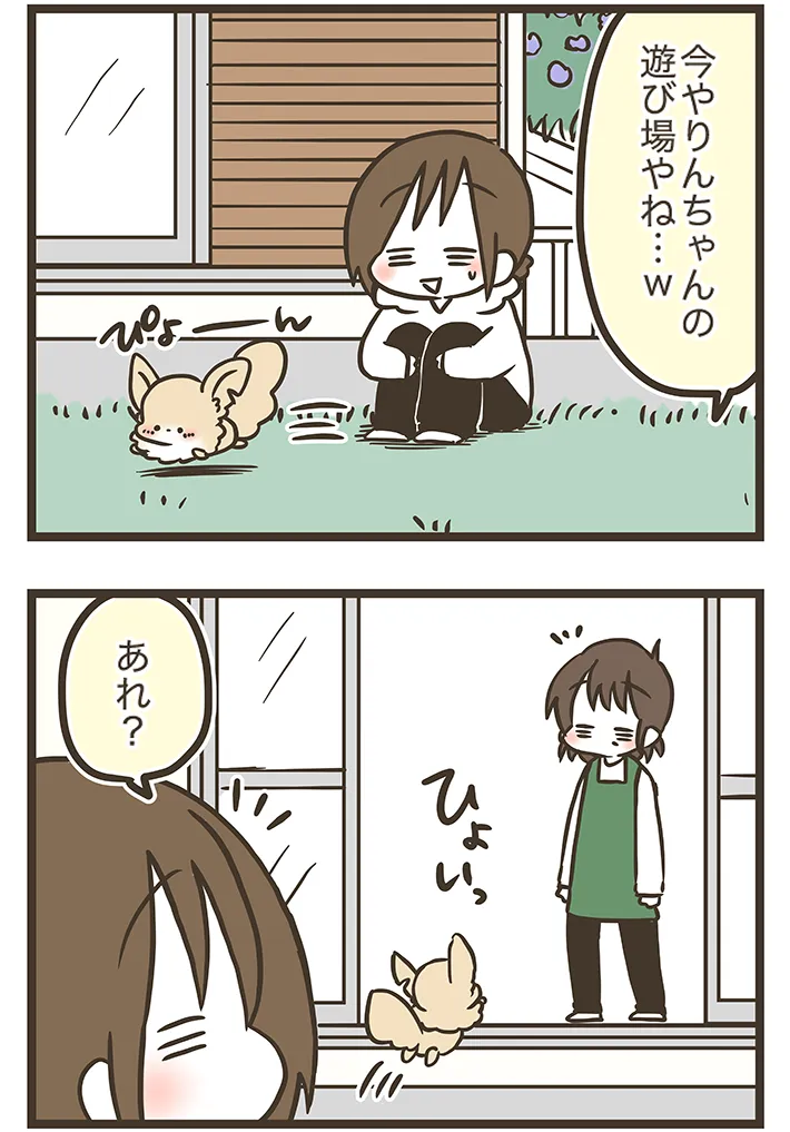漫画家・なおたろーさんによるエッセイ漫画『おかんとわんこ』の画像