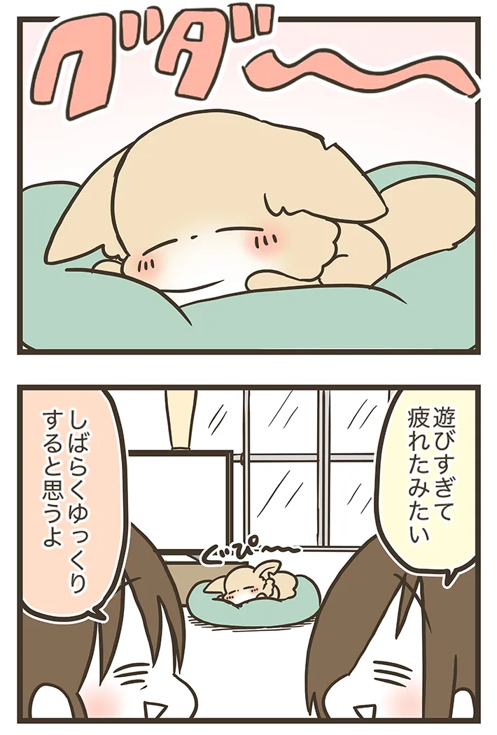 漫画家・なおたろーさんによるエッセイ漫画『おかんとわんこ』の画像