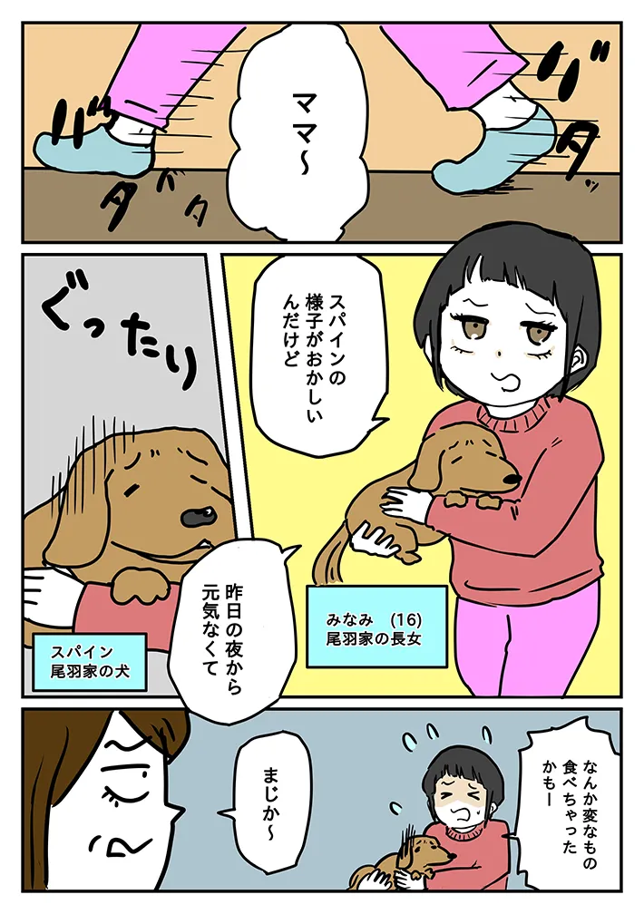 漫画家のからばく社さんによる『レントゲンのおばさん』第3話の画像