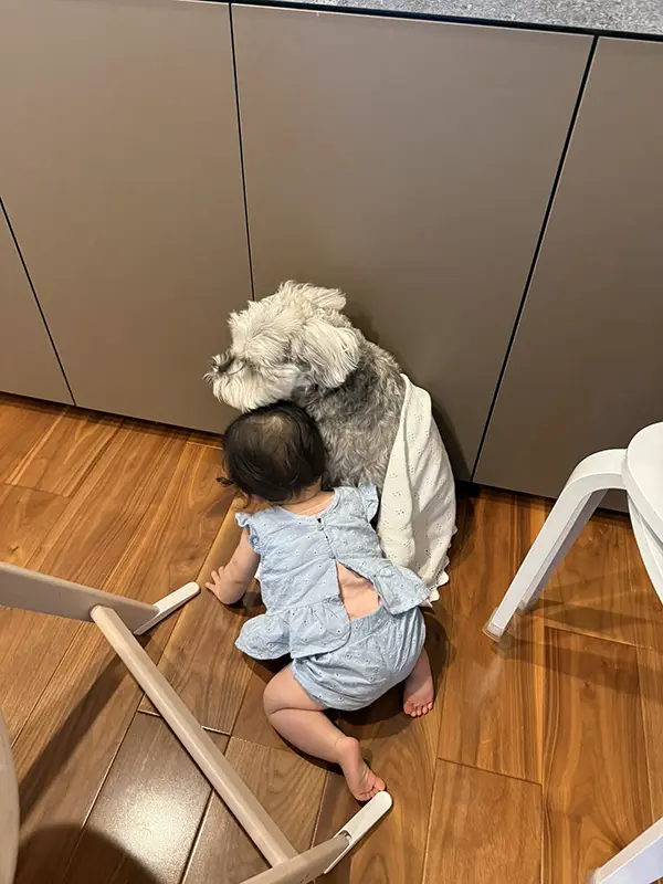雷におびえる犬をなぐさめる子供の写真