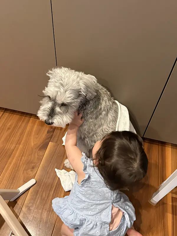 雷におびえる犬をなぐさめる子供の写真