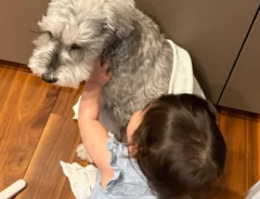 雷におびえる犬をなぐさめる子供の写真