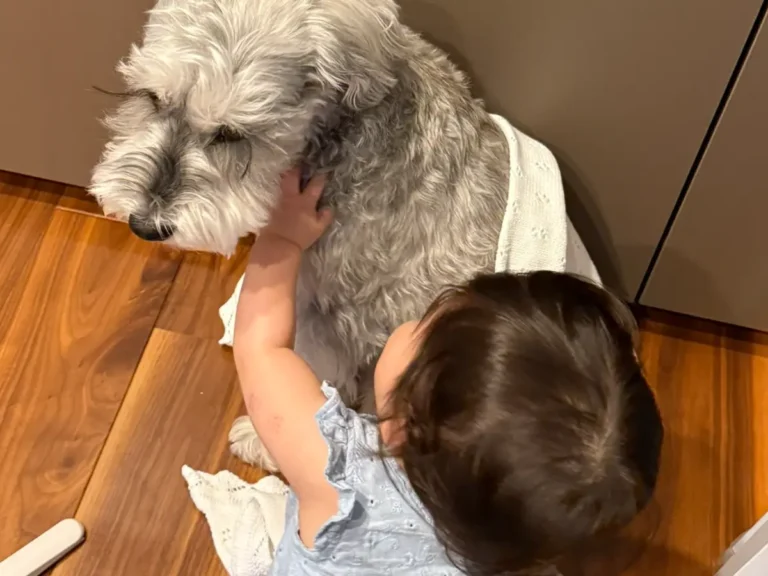 雷におびえる犬をなぐさめる子供の写真