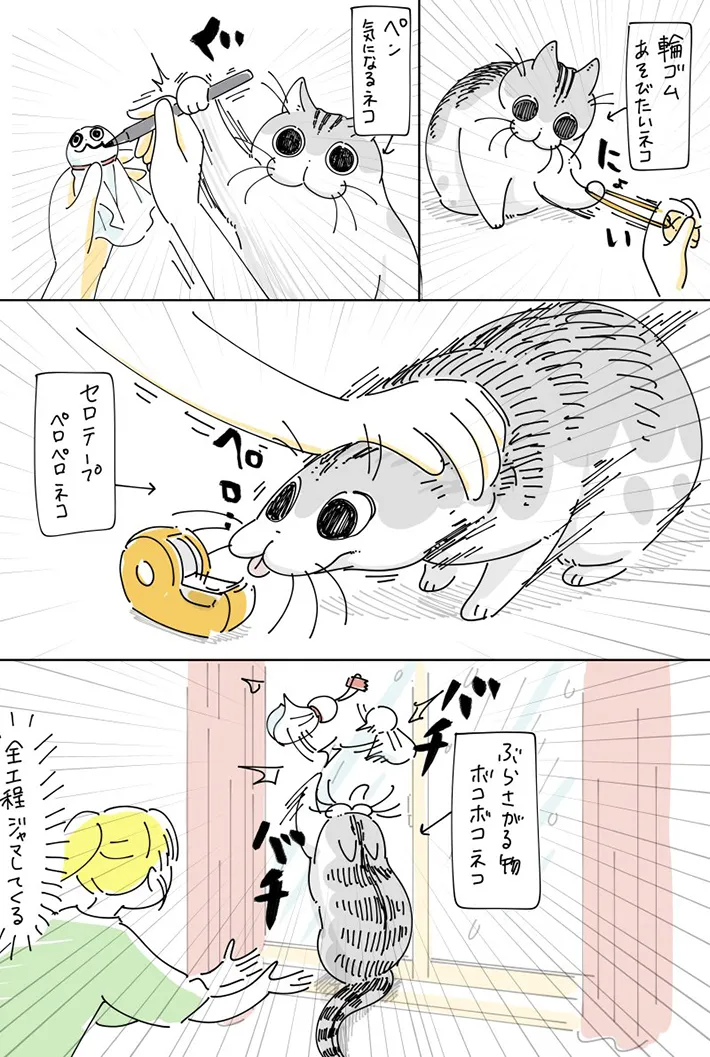 キュルZさんの漫画画像