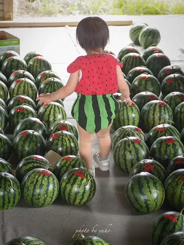 スイカに囲まれたスイカ服の子供の写真