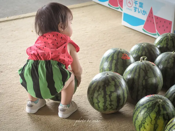 スイカに囲まれたスイカ服の子供の写真