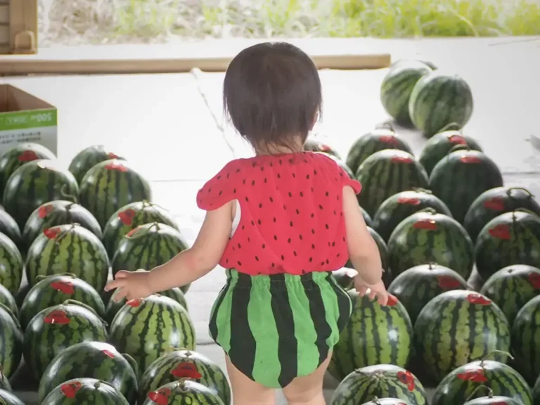 スイカに囲まれたスイカ服の子供の写真