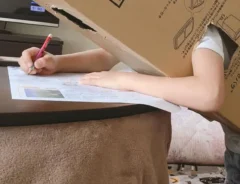 箱に入る息子の写真