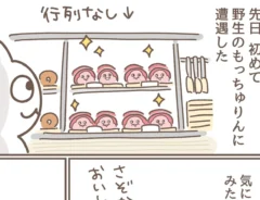 もずくさんのエッセイ漫画の画像