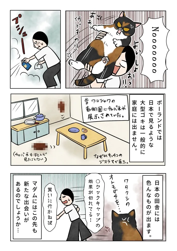 かんさびさんのエッセイ漫画の画像
