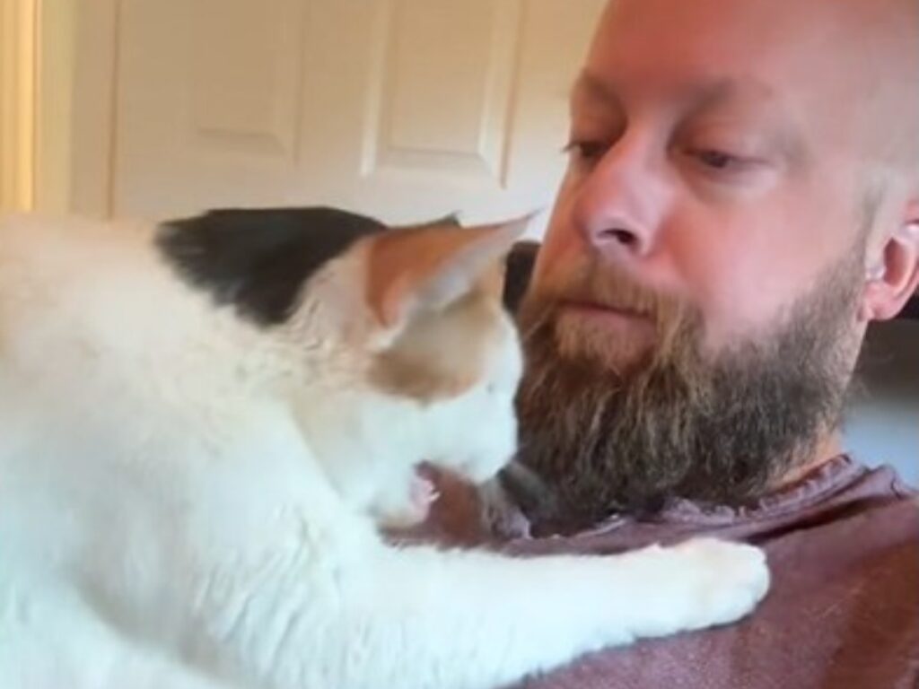 男性と猫の写真