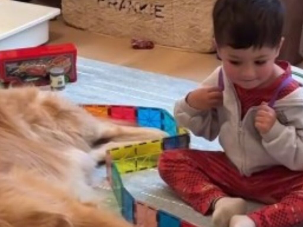 子供と犬の写真