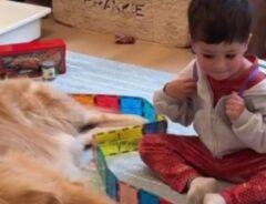 子供と犬の写真