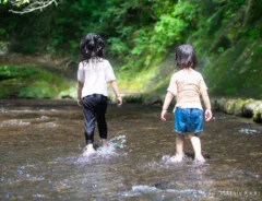 川遊びのイメージ写真