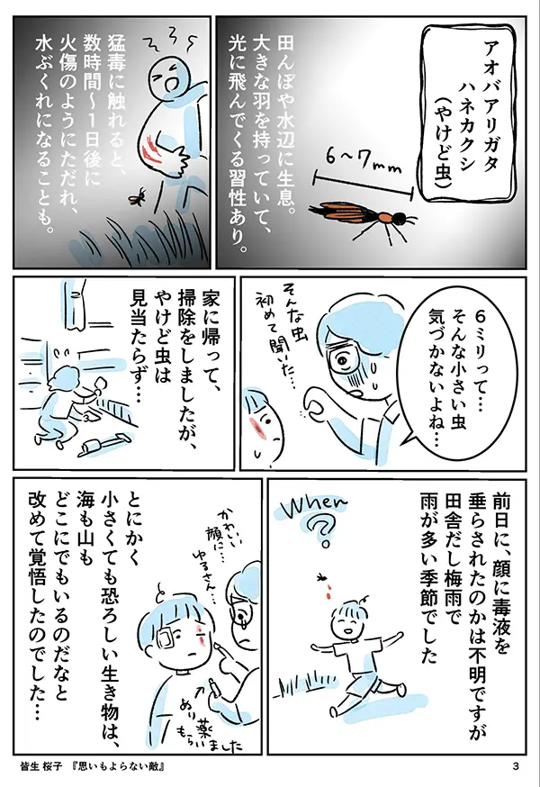 やけど虫の注意喚起のエッセイ漫画