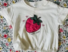 イチゴのTシャツの写真